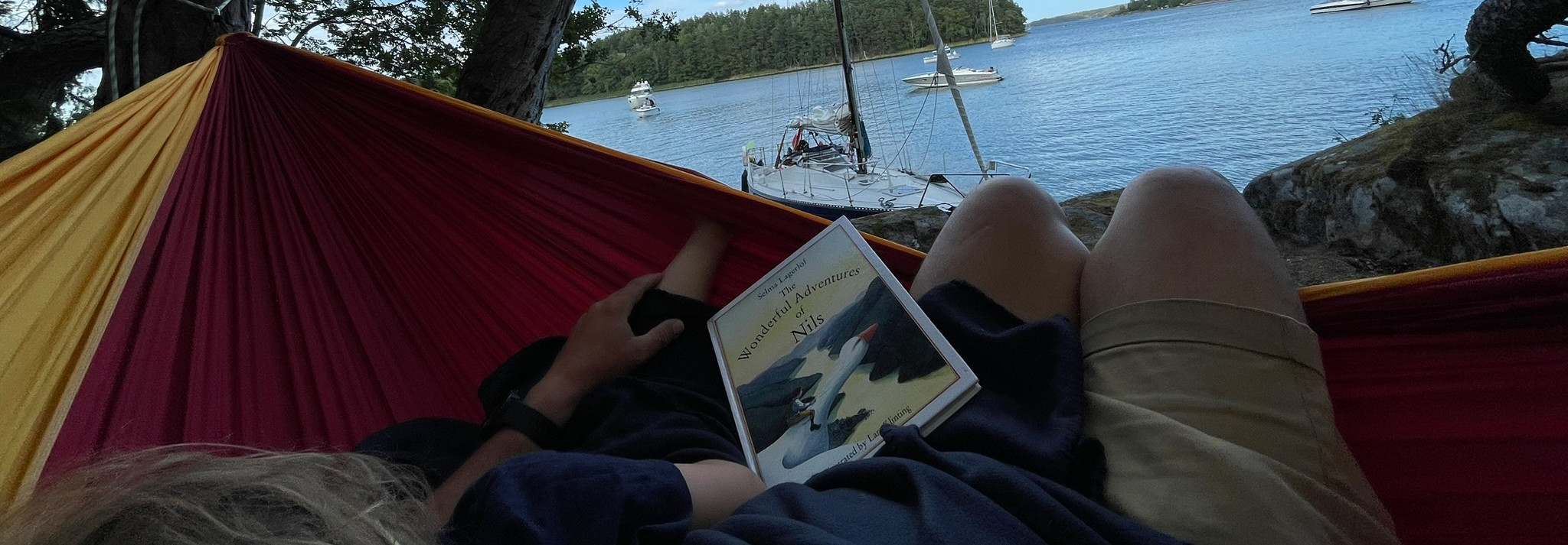 In the hammock